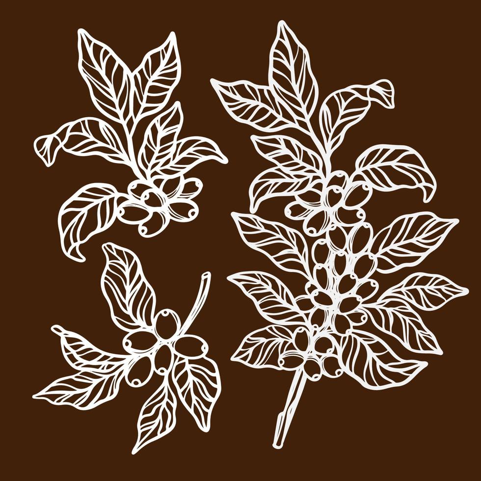 COFFEE IN SKETCH STYLE Plant Branch Vector Illustration Set