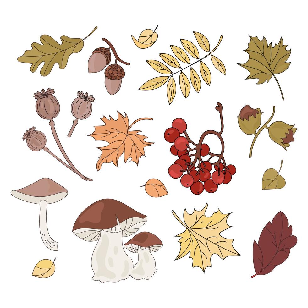 otoño tesoro otoño temporada naturaleza vector ilustración conjunto