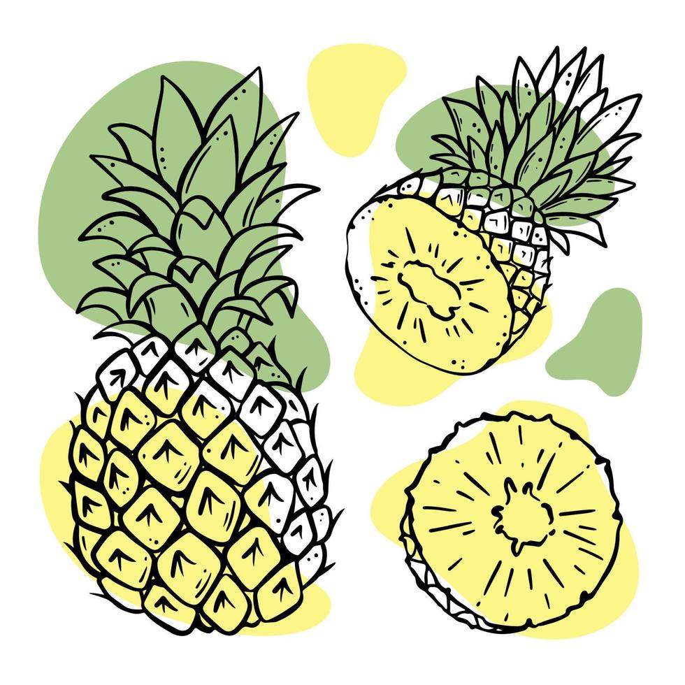 PINEAPPLE Delicious Fruit Sketch Vector Illustration Set