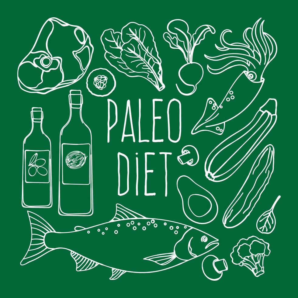 PALEO DIET Healthy Food Low Carb Vector Illustration Set