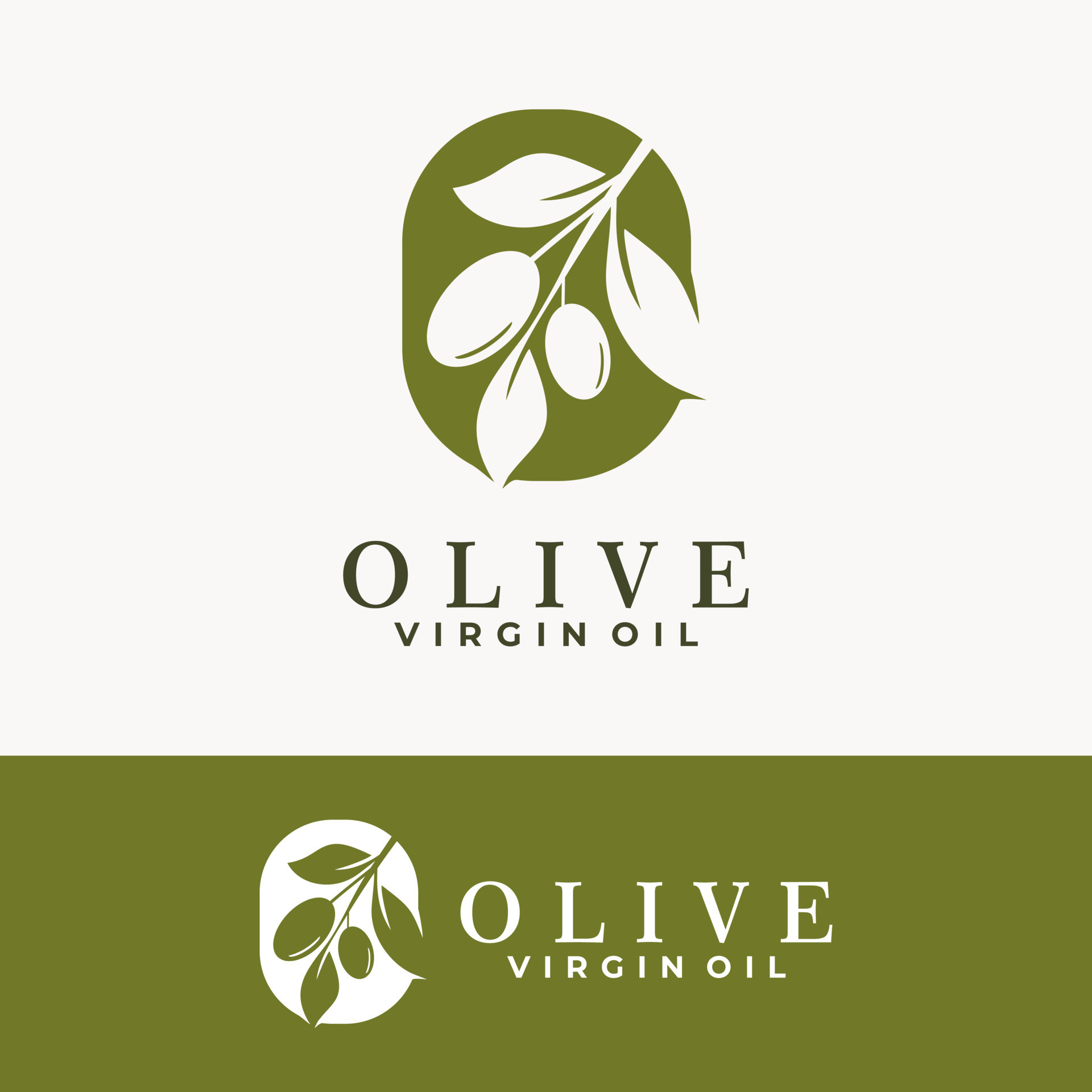 olive plant logo template. olive branch tree virgin oil vector
