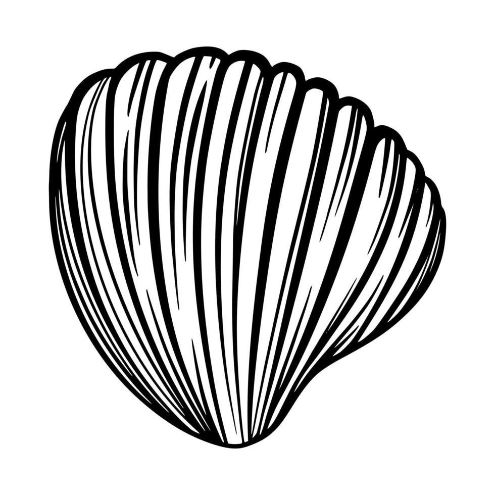 conchas marinas o moluscos para el diseño de invitación, tela, textil, etc. vector