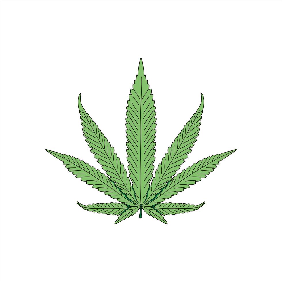 CBD Cannabis Marijuana Pot Hemp Leaf with Line Art Logo vector design