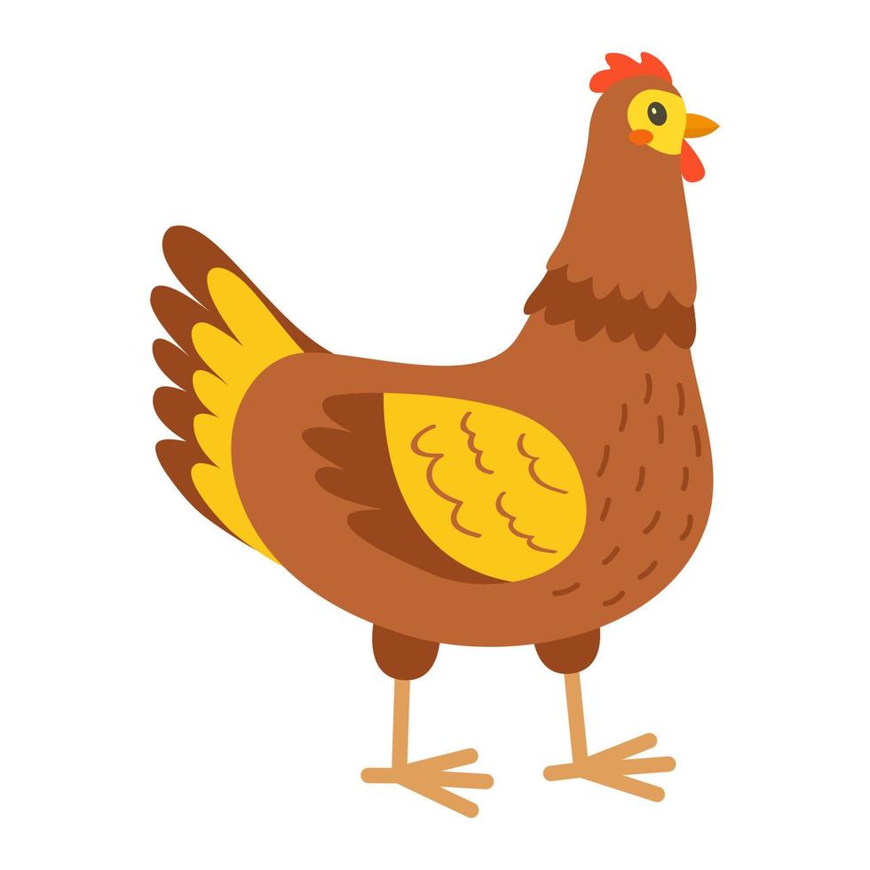 pollo. pollo. Doméstico pájaro. vector ilustración.