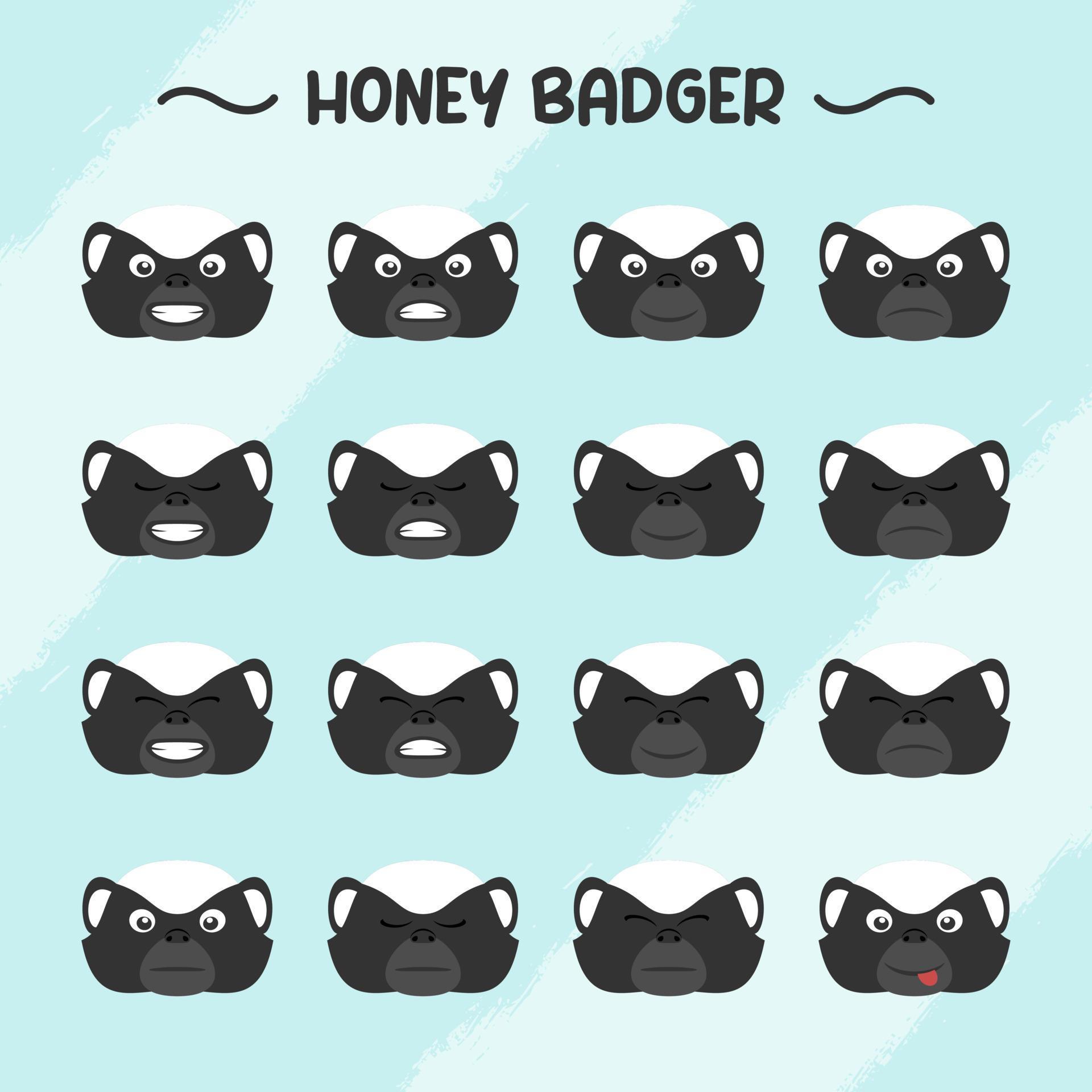 Collection of honey badger facial expressions in flat design style