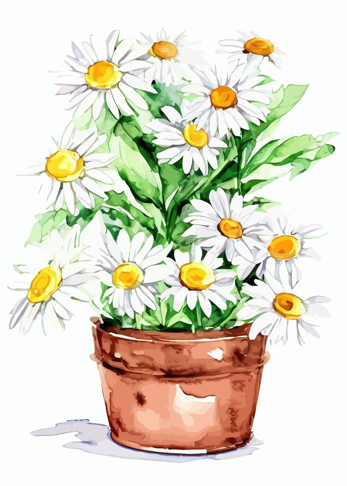 Daisy Flower Watercolor Pot Plant 20437764 Vector Art at Vecteezy