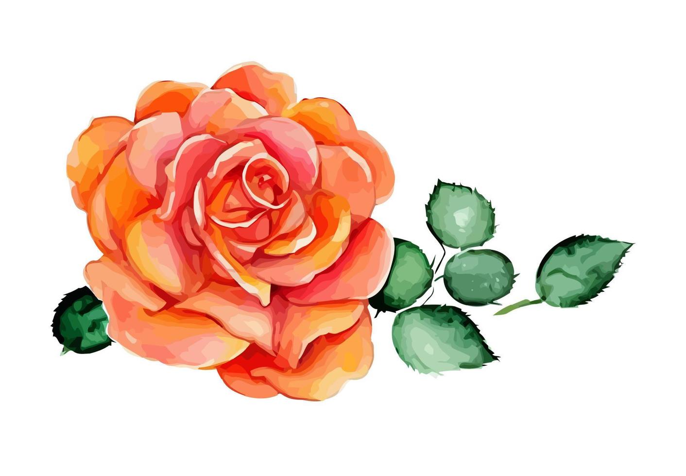 Pretty Orange Red Watercolor Rose vector