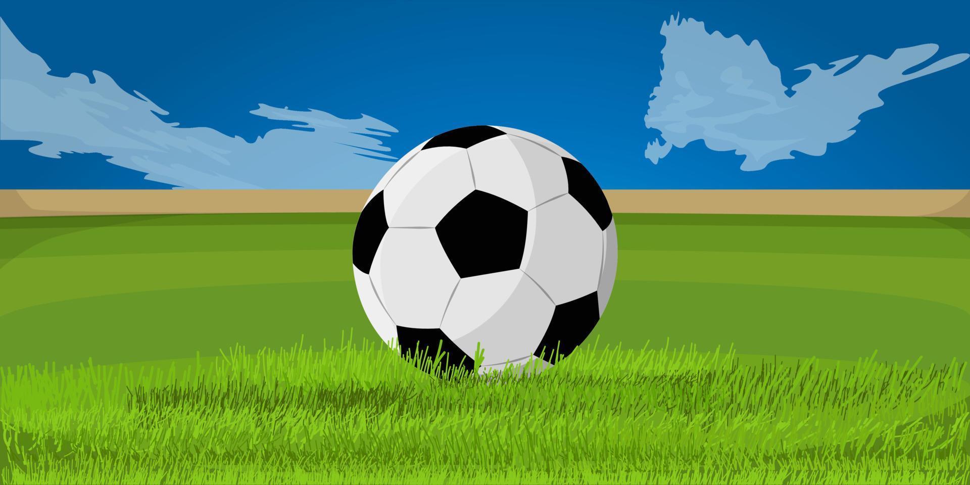 fondo del campo de fútbol vector