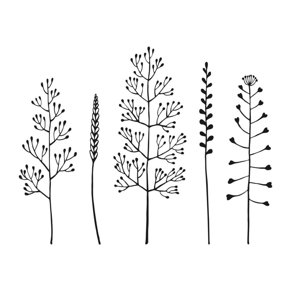 conjunto de hierbas y flores silvestres. elementos florales dibujados a mano. ilustración vectorial aislado sobre fondo blanco. vector