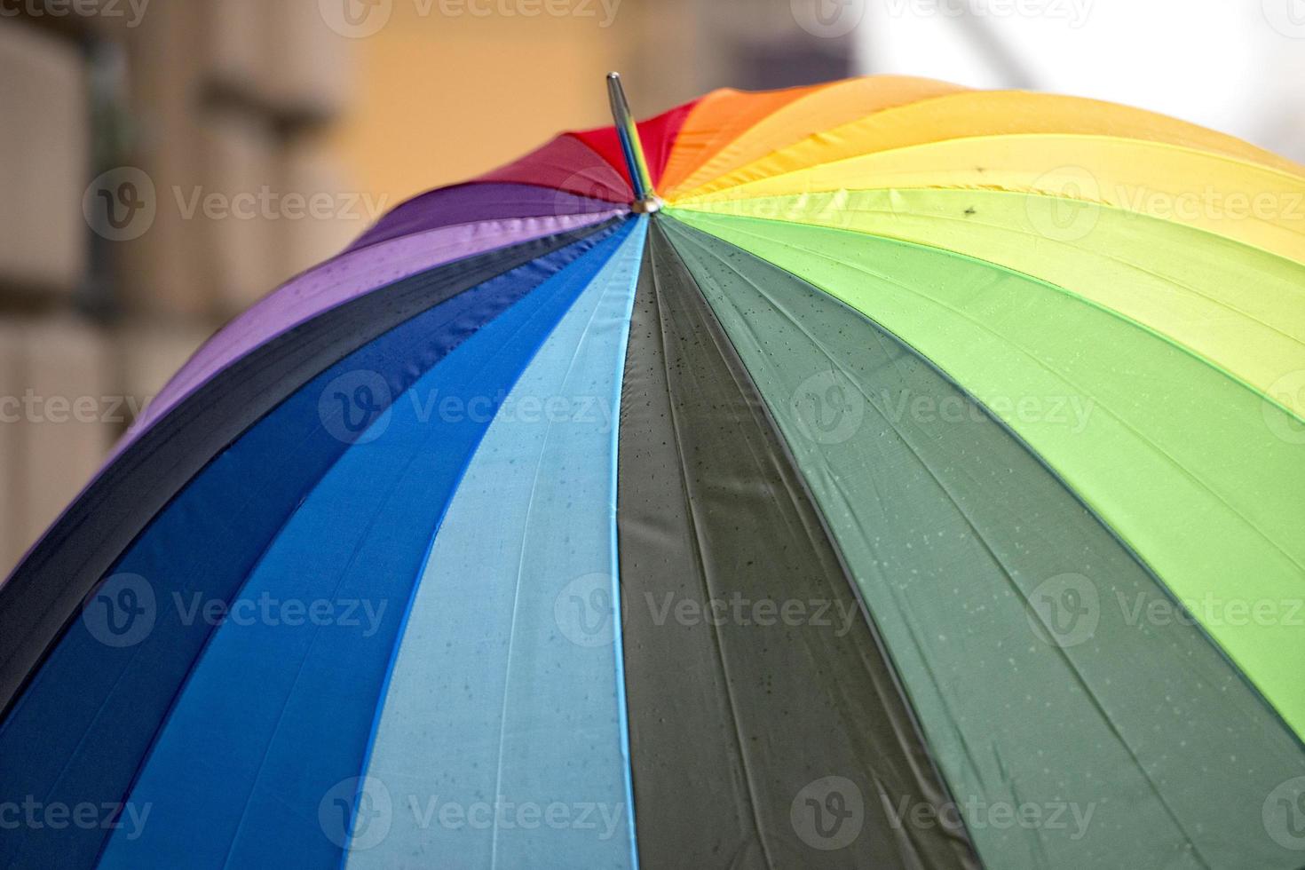 rainbow flag umbrella photo