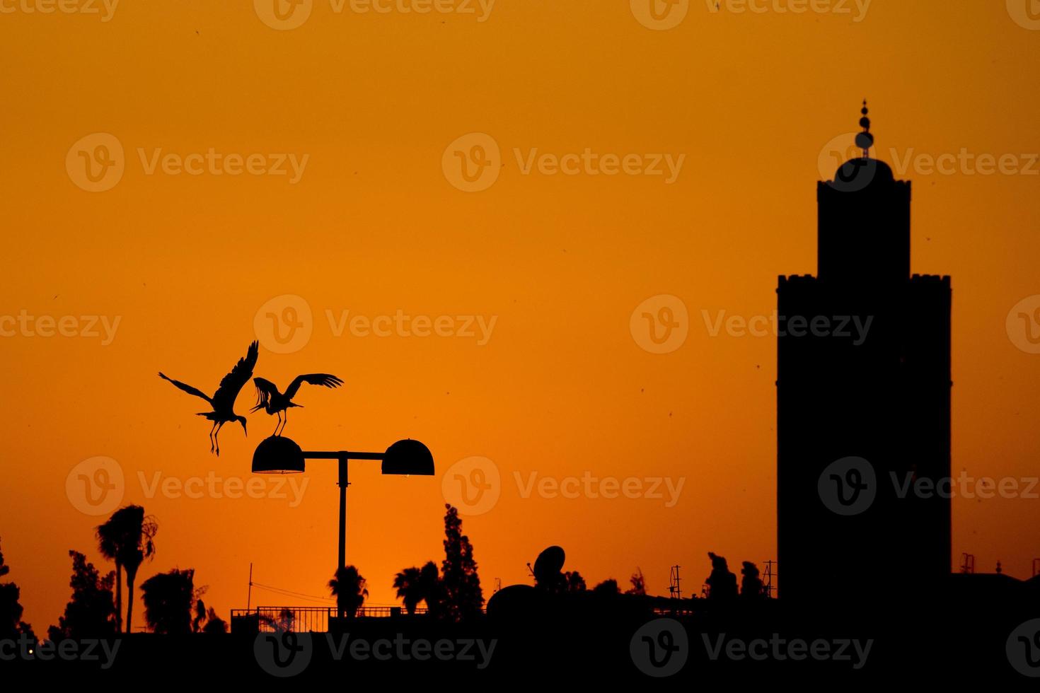 Maroc Marrakech sunset view with stork silhouette photo