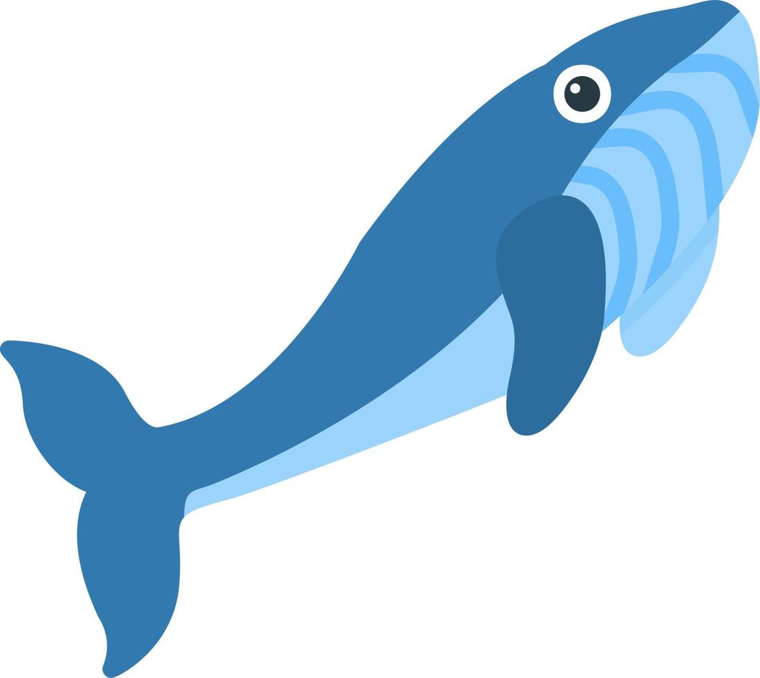 icono de vector de ballena