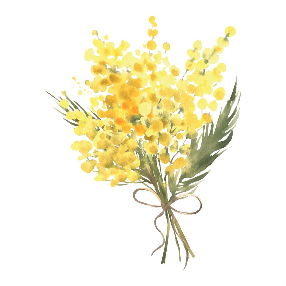 Mimosa yellow spring flowers set, Watercolor vector hand drawn illustration isolated on white background