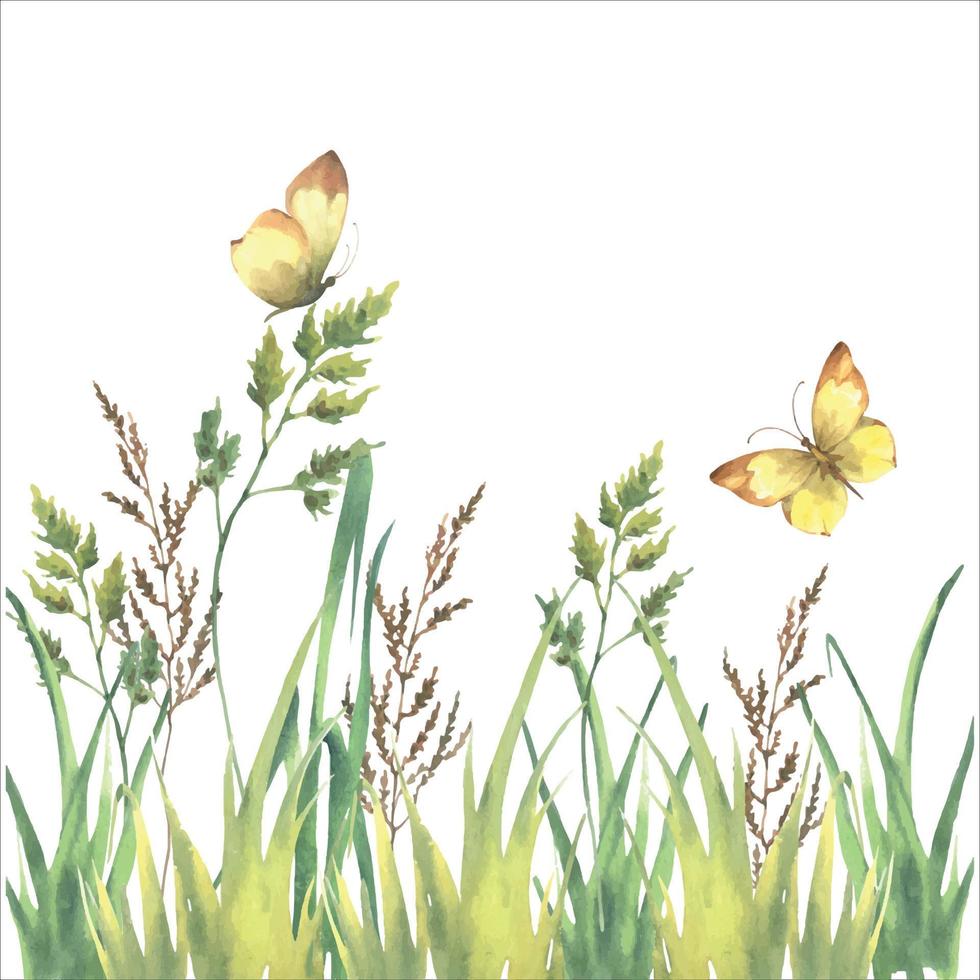 Watercolor vector green grass, herb and yellow butterflies isolated on white background.