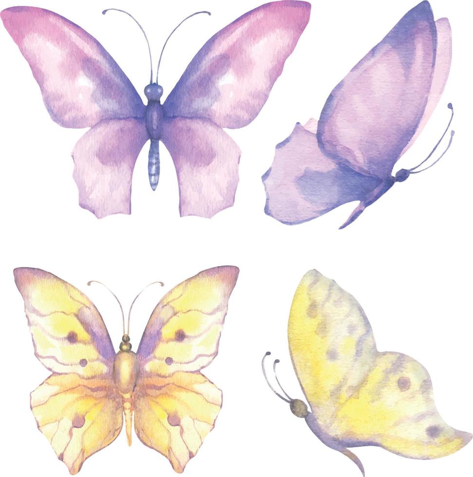 Watercolor vector illustration of yellow and purple butterflies, isolate on white background.