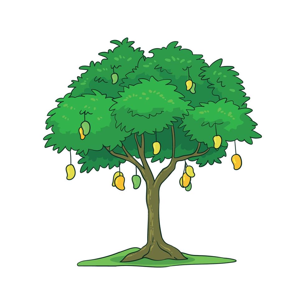 hand drawn mango tree vector