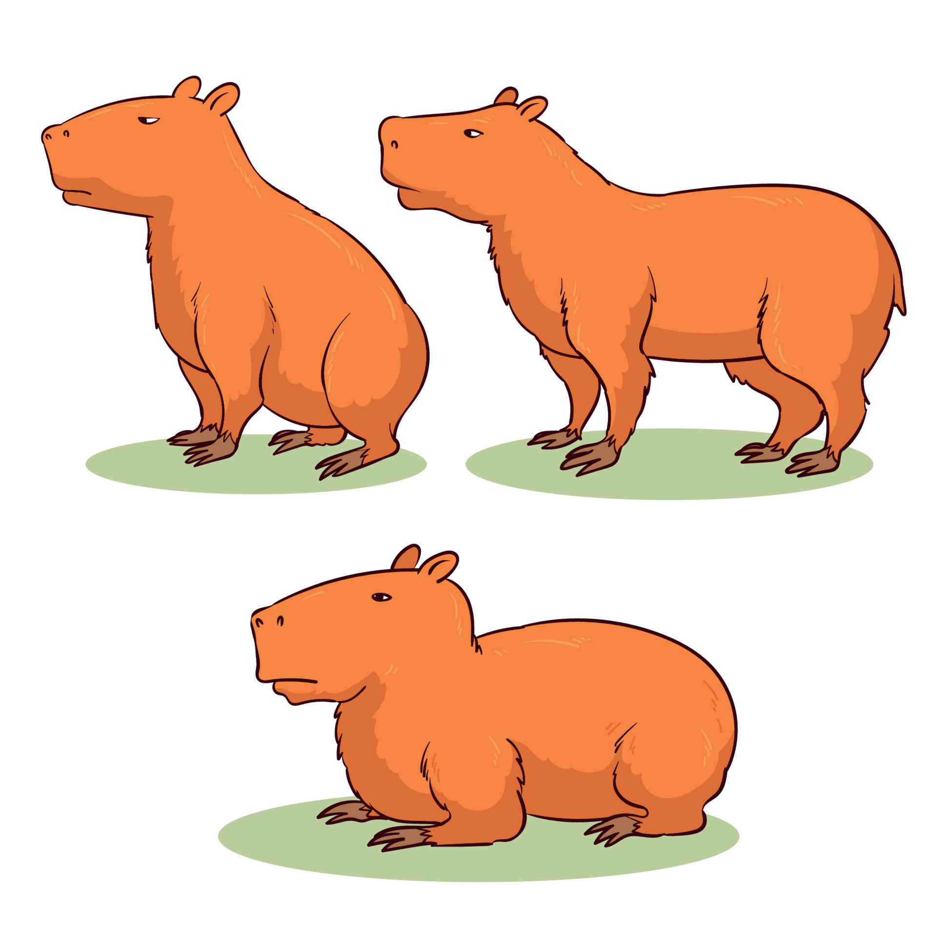 capybara #illustration #art #animals