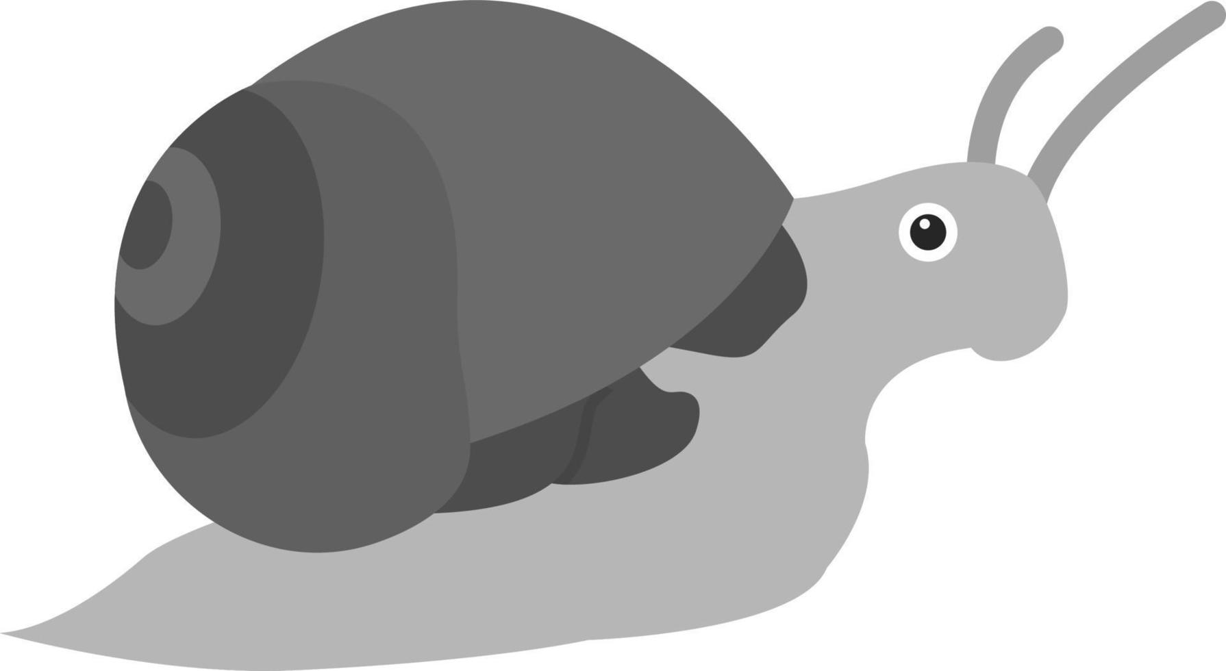 Snail Vector Icon