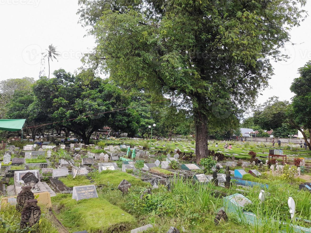 Cemetery for Muslims in the city of Mataram, Lombok island, Indonesia photo