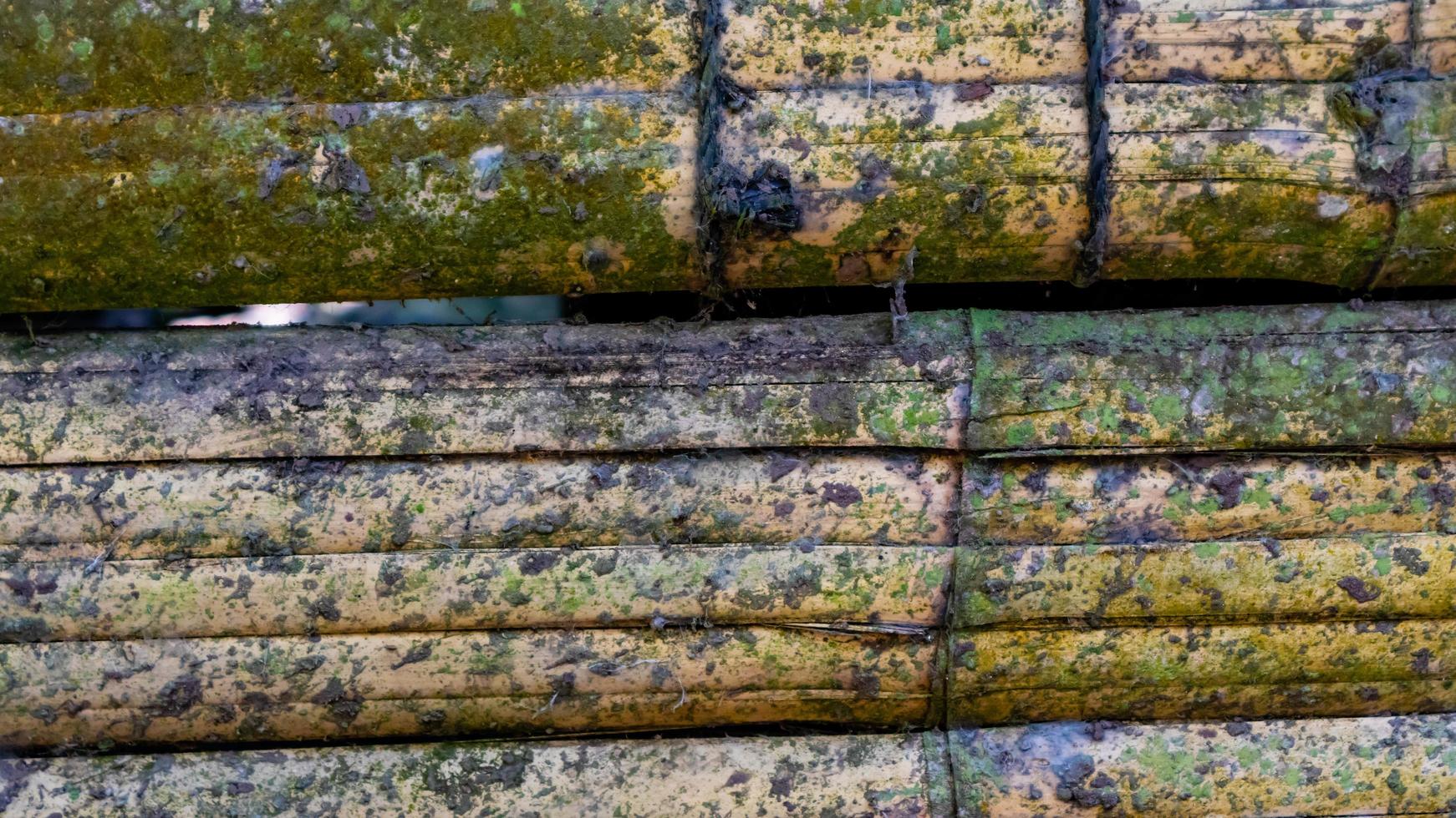 mossy bamboo wall texture as a background photo