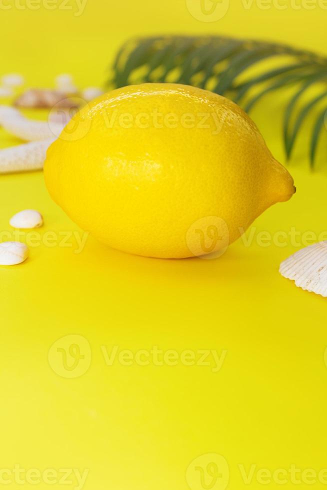 Lemon with shells and palm tree behind on yellow background. Vertical. Concept of vacation, travel in hot countries. Copy space photo