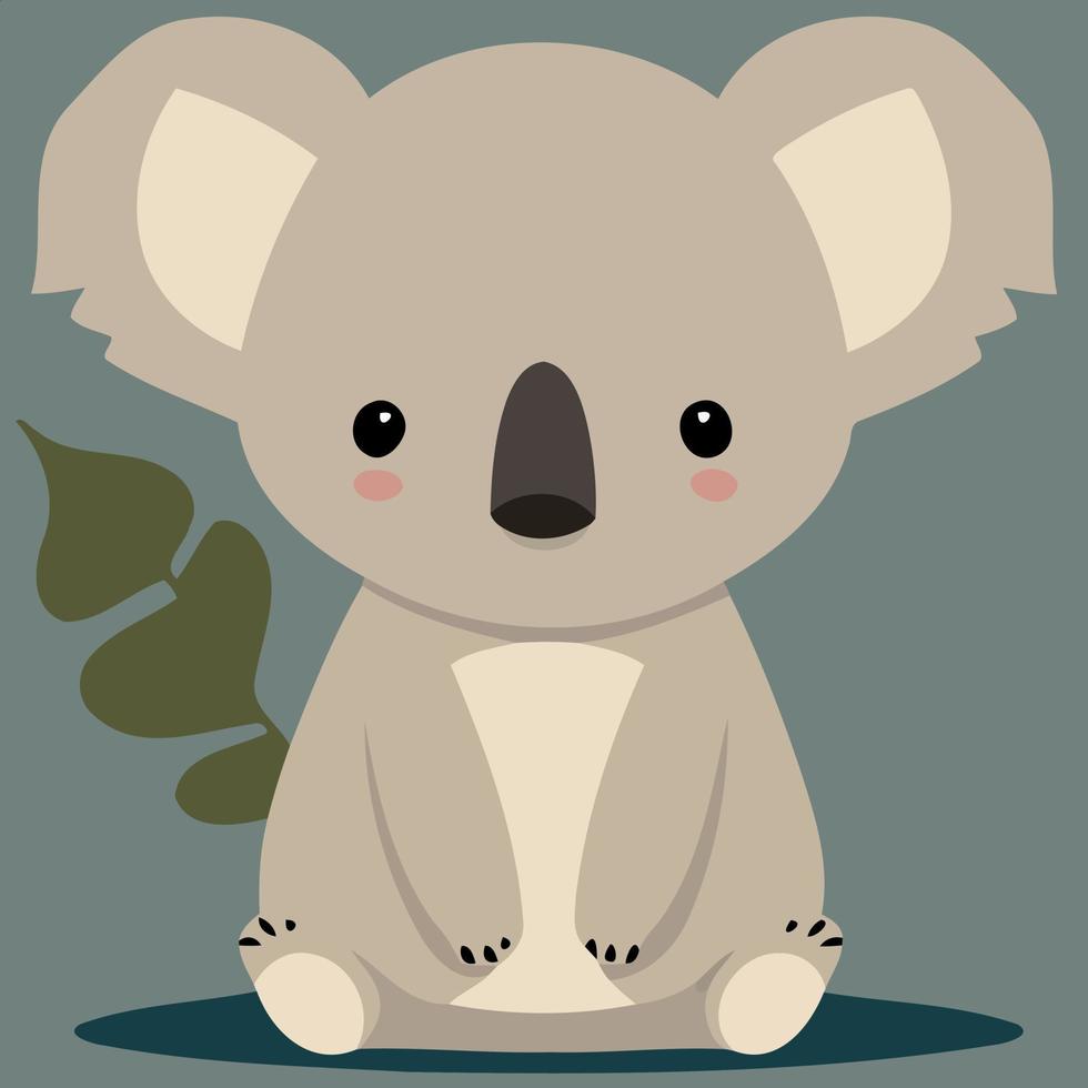 common koala herbivore mammal animal body vector