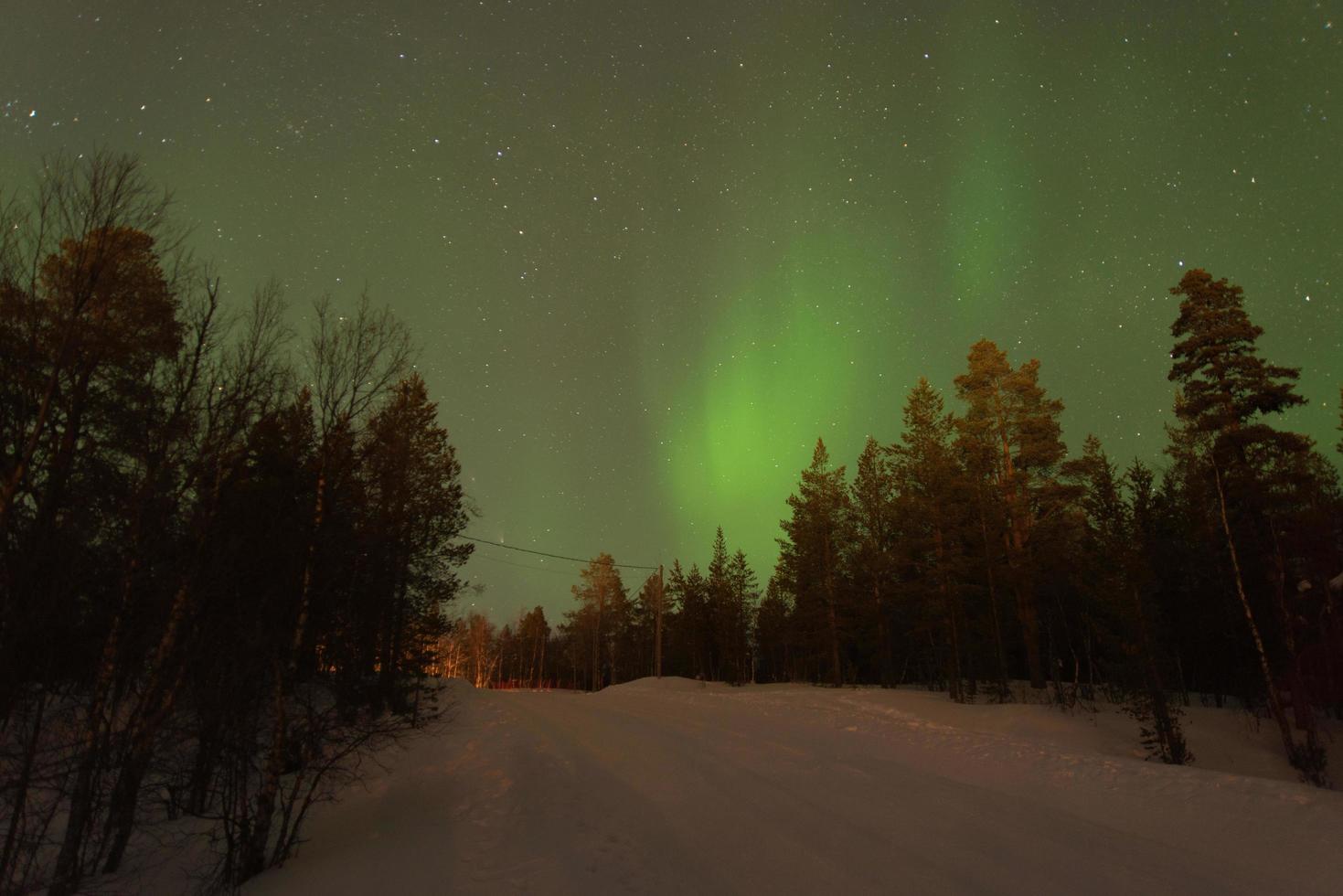 hermosa verde del Norte luces detrás un nevado conífero bosque. foto