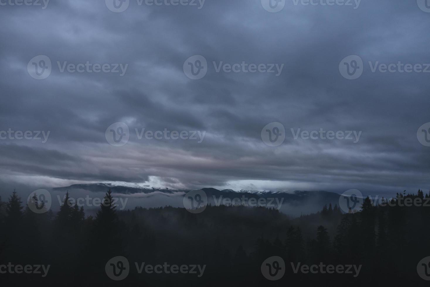 Coniferous Forest and Mountains Landscape Travel serene scenery photo