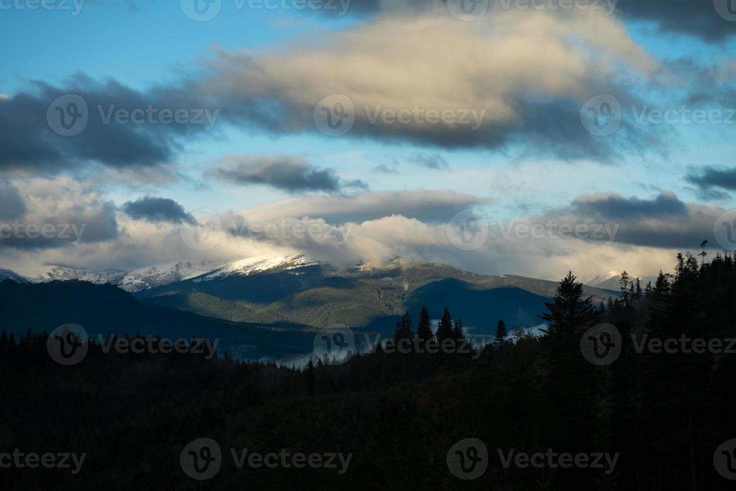 Coniferous Forest and Mountains Landscape Travel serene scenery photo