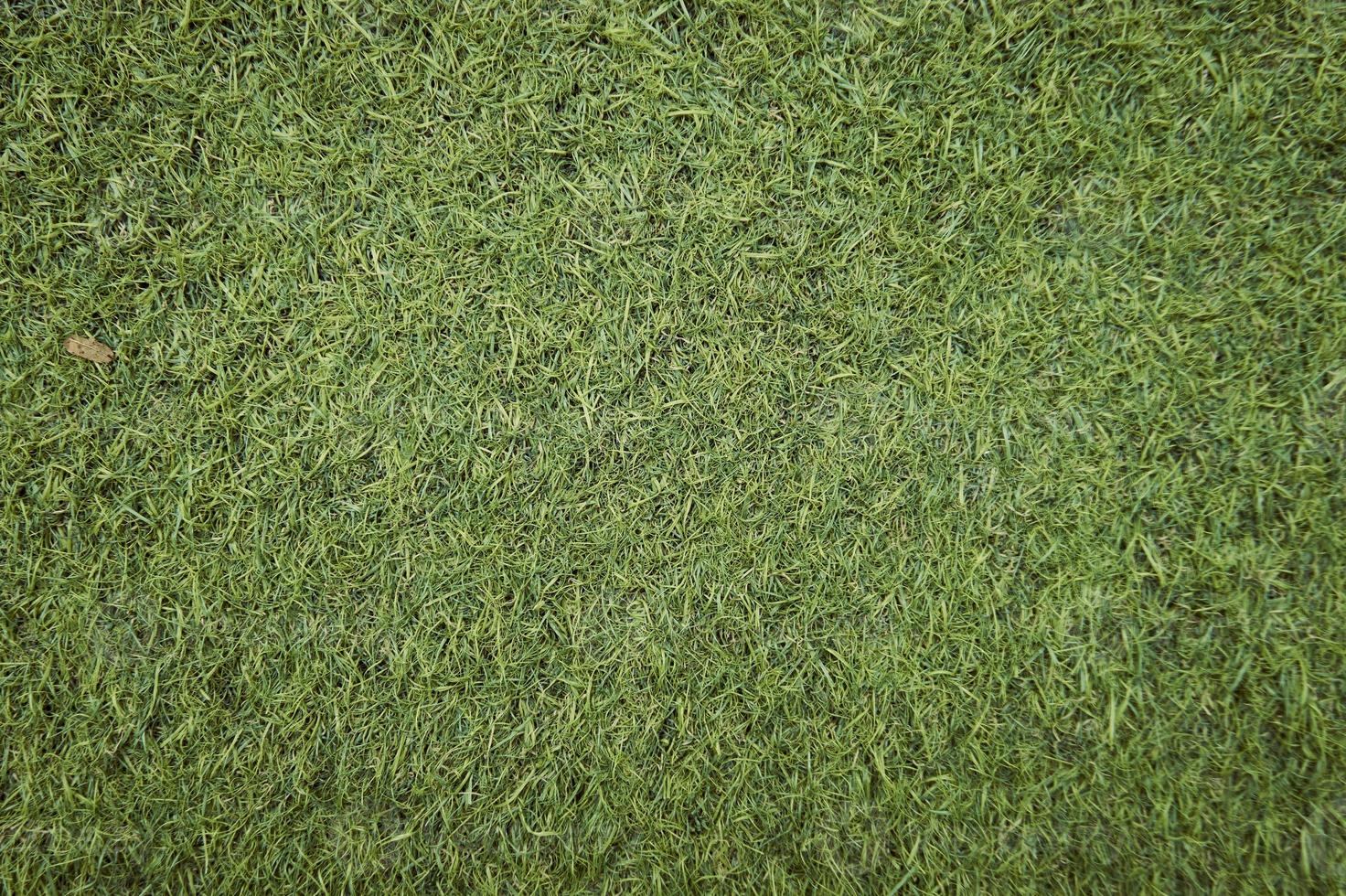 Top view of artificial green grass texture. Fake Grass used on sports fields for soccer, baseball, golf, football, playground, and garden. Synthetic grass for nature, sport, or abstract background photo