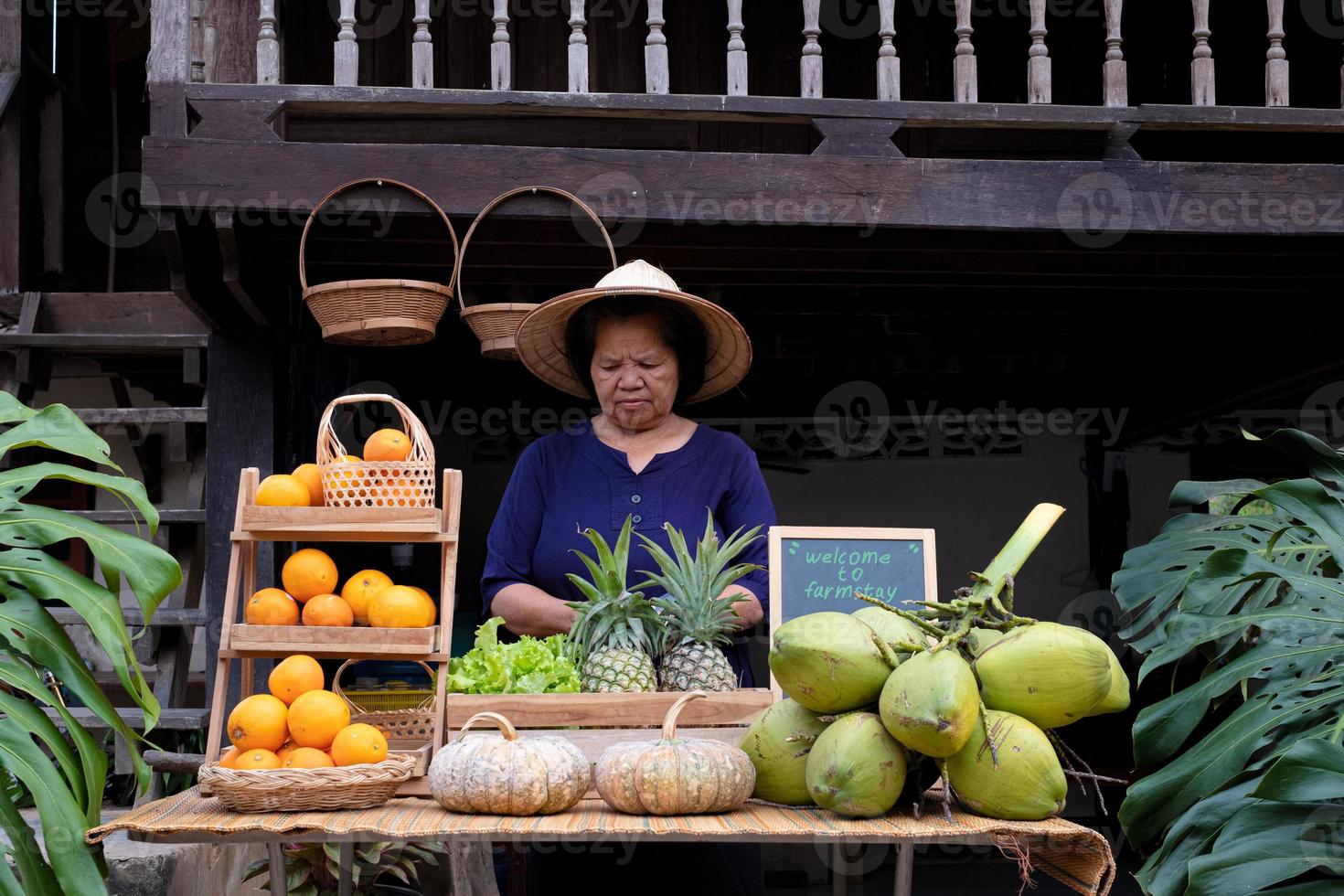 Asia vendor selling fruits at the farm stay, Homestay at Thailand Loei photo