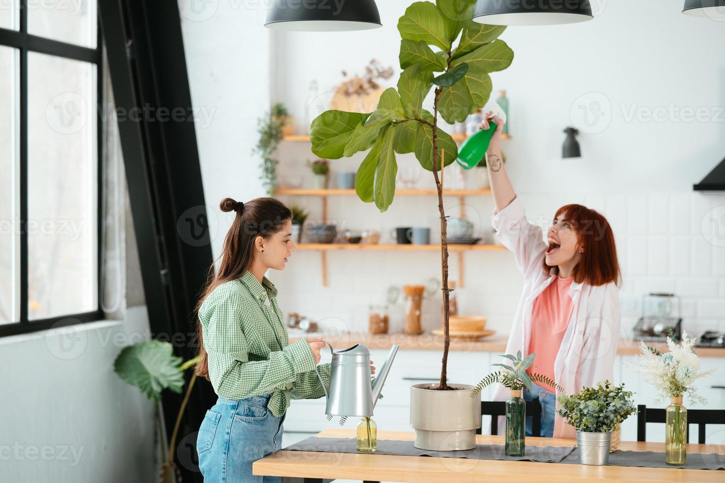 Two young women is taking care of houseplants watering and spraying with water. photo