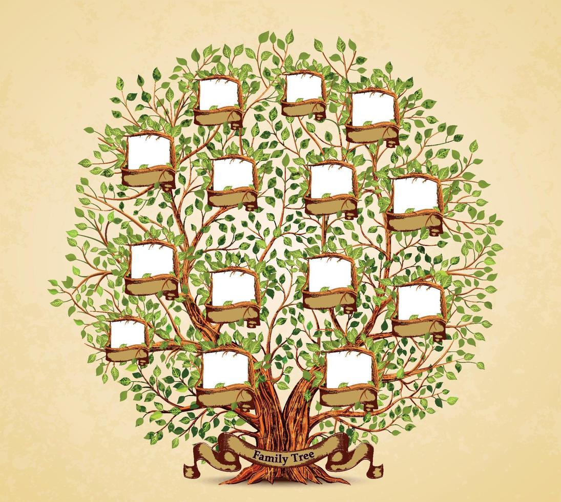 Family Tree template vintage vector illustration