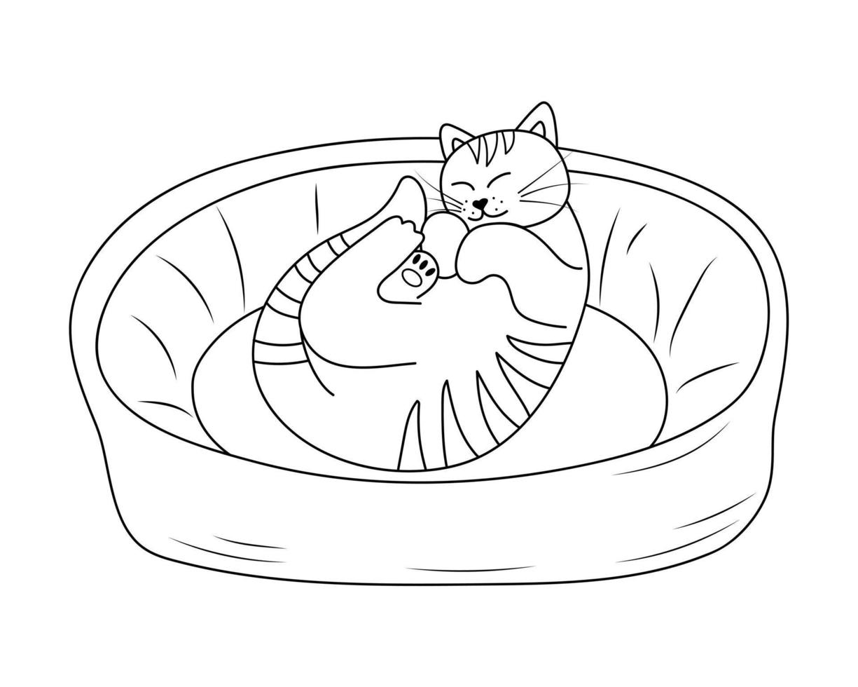 Cute cat sleeping in cat bed in doodle style. Sleepy relaxed feline animal lying on pet cushion. vector