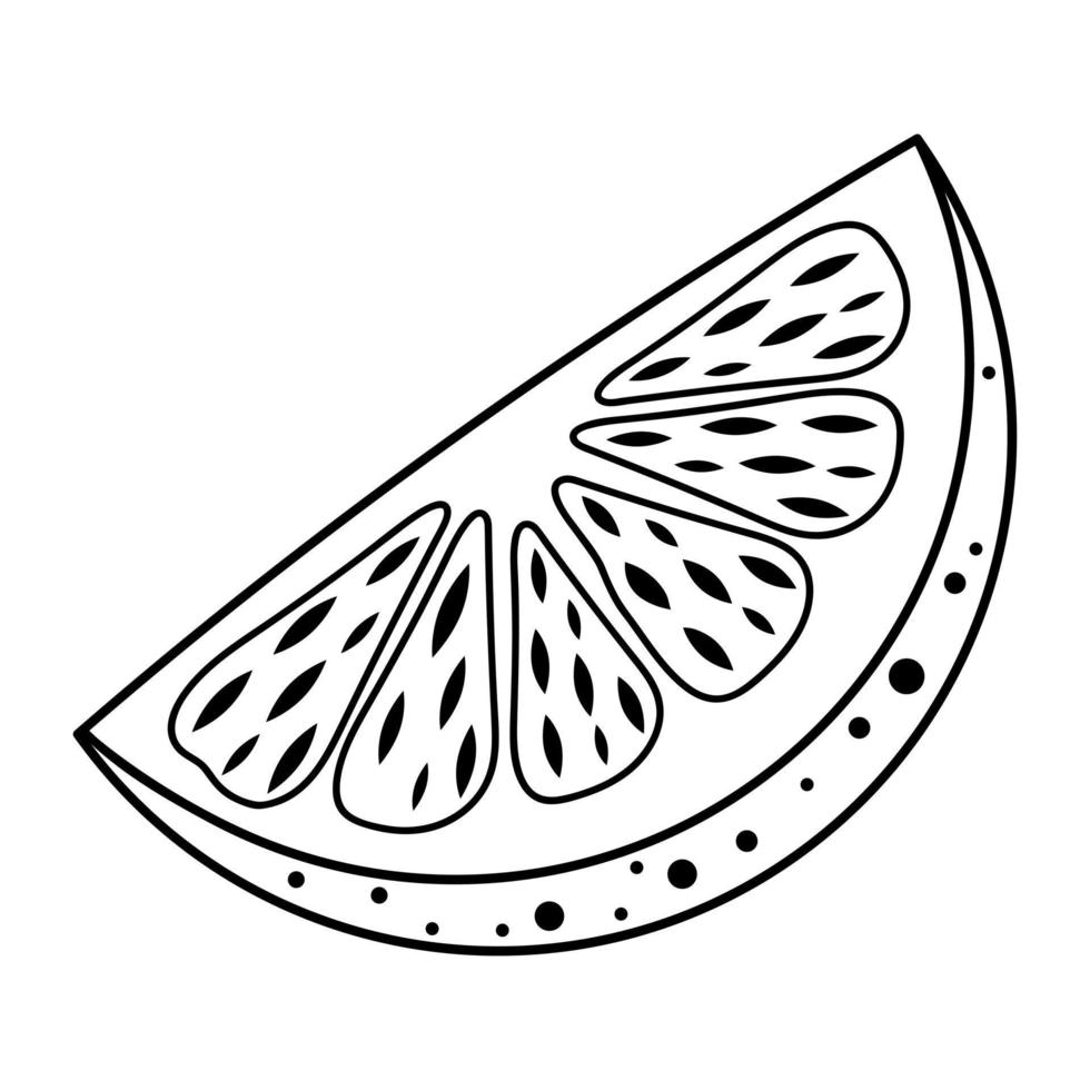 Slice of orange fruit. Hand drawn illustration in doodle style. vector