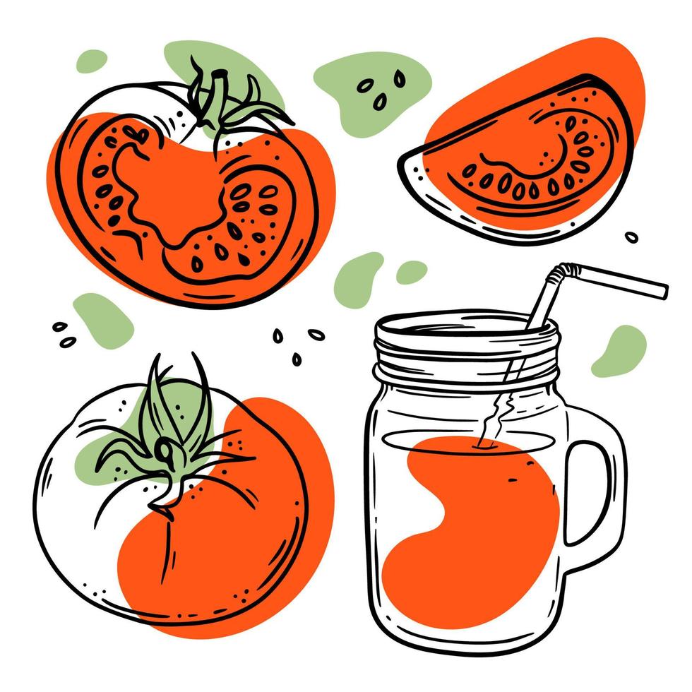 tomate jugo Fresco vegetal bosquejo vector ilustración conjunto