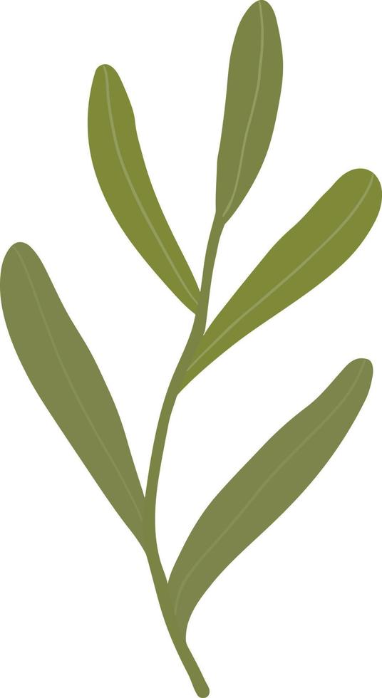 Leaves on a green branch. vector