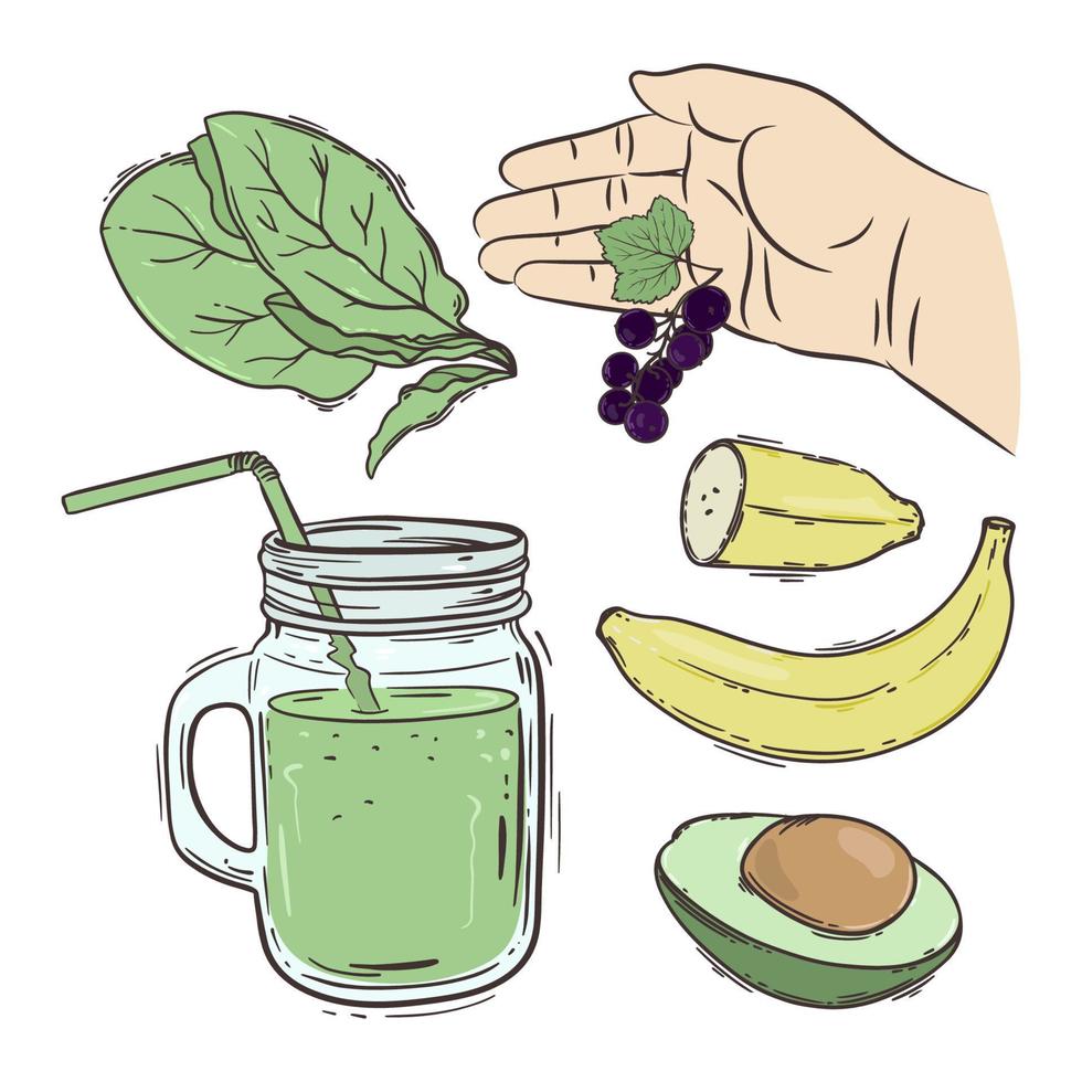 SMOOTHIE HOW MAKE Beverage Recipe Vector Illustration Set