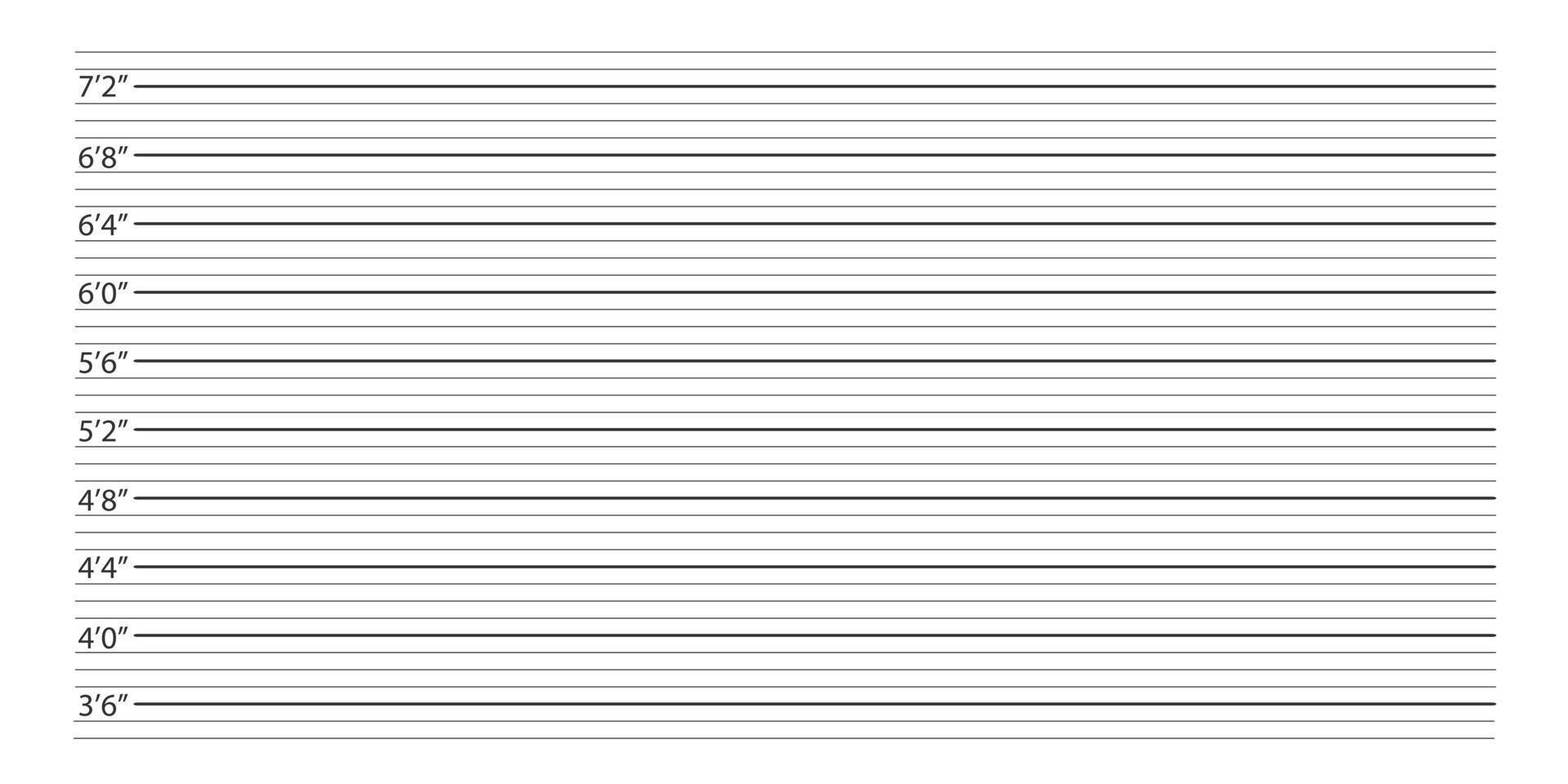 Police mugshot background. Height chart for photo of arrested person or suspect identification vector