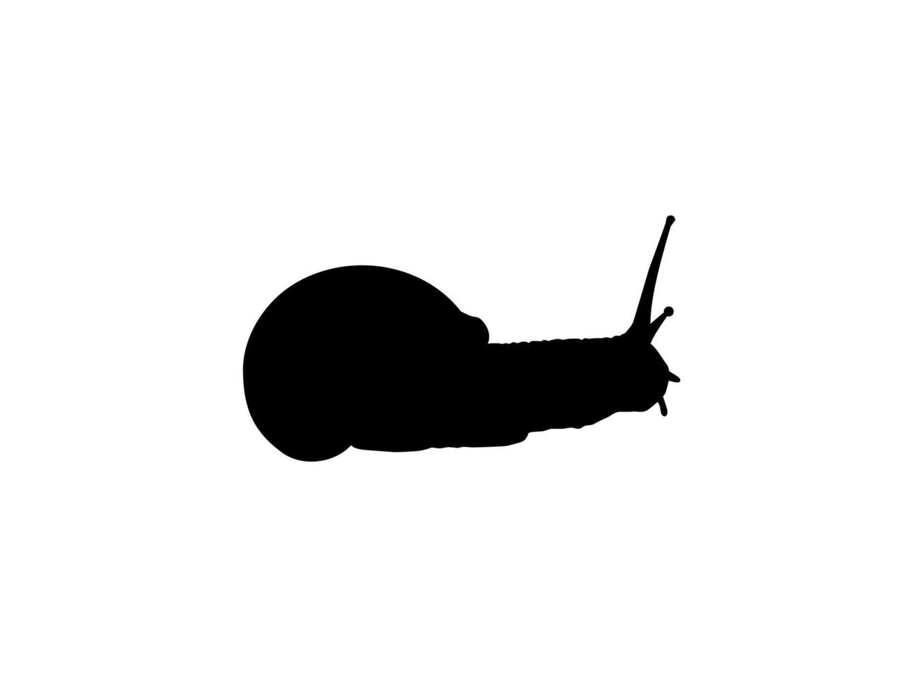 Snails are also called Escargot Silhouette for Logo, Art Illustration, Apps, Website or Graphic Design Element. Vector Illustration