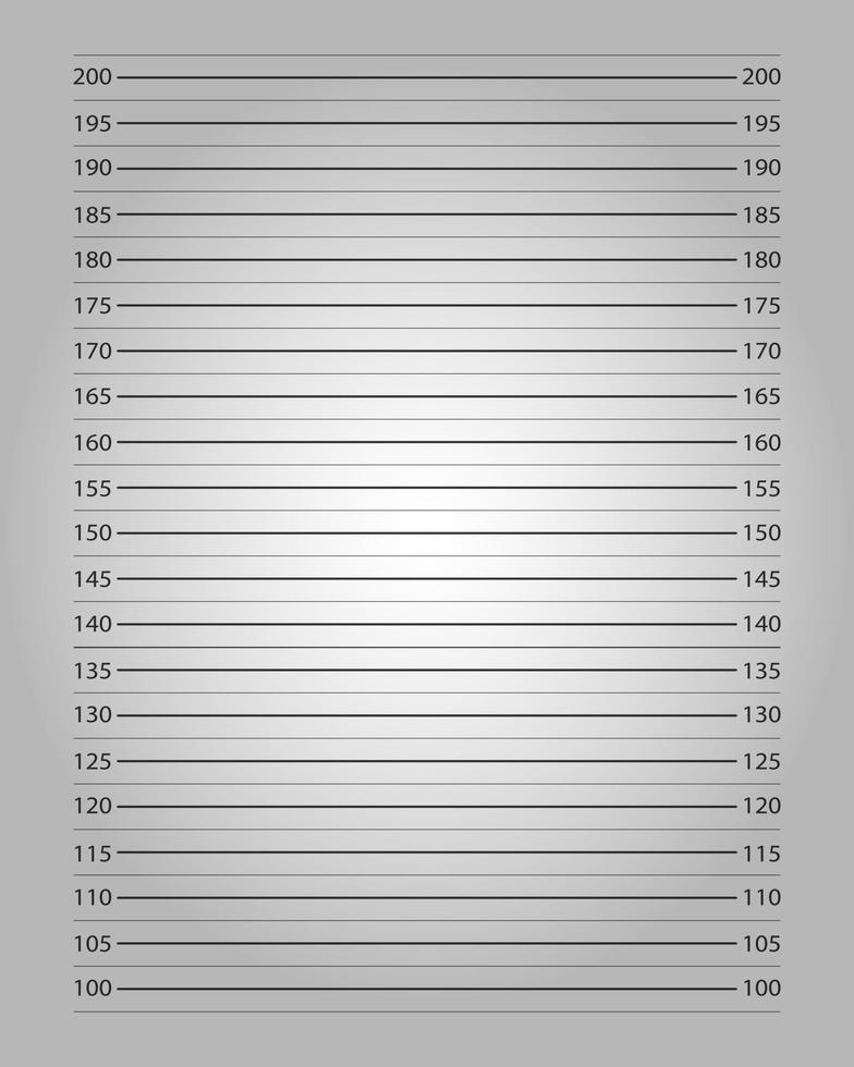 Police mugshot background with centimeters height chart and lighting effect. Photo frame of wanted, arrested or suspect person identity. Photoshoot prop in prison style vector