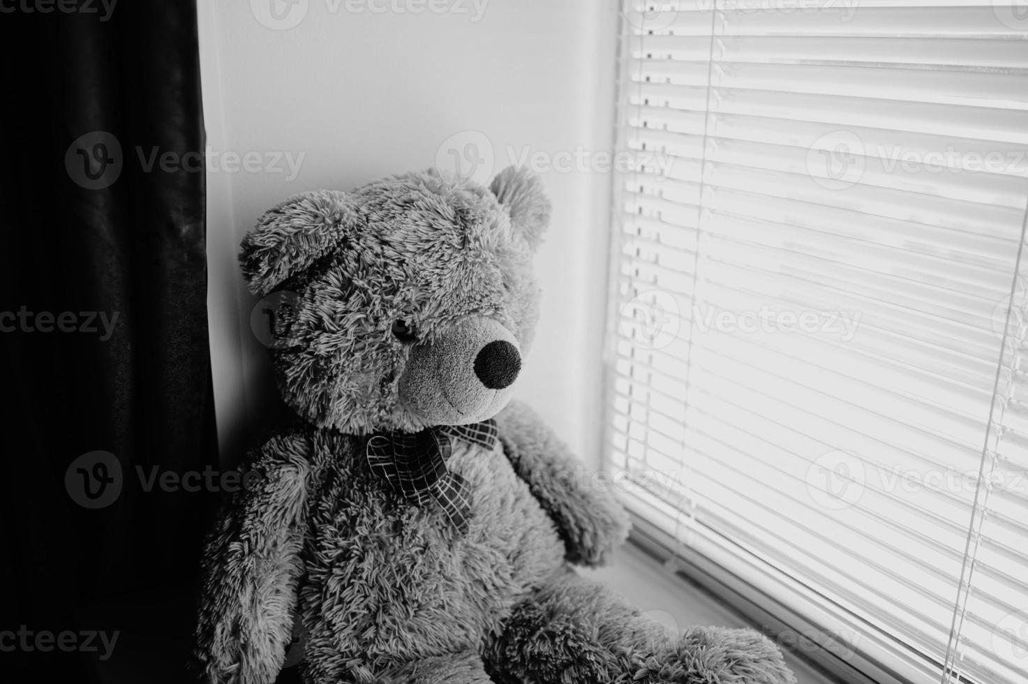 Fluffy brown teddy bear, sitting on the window. photo