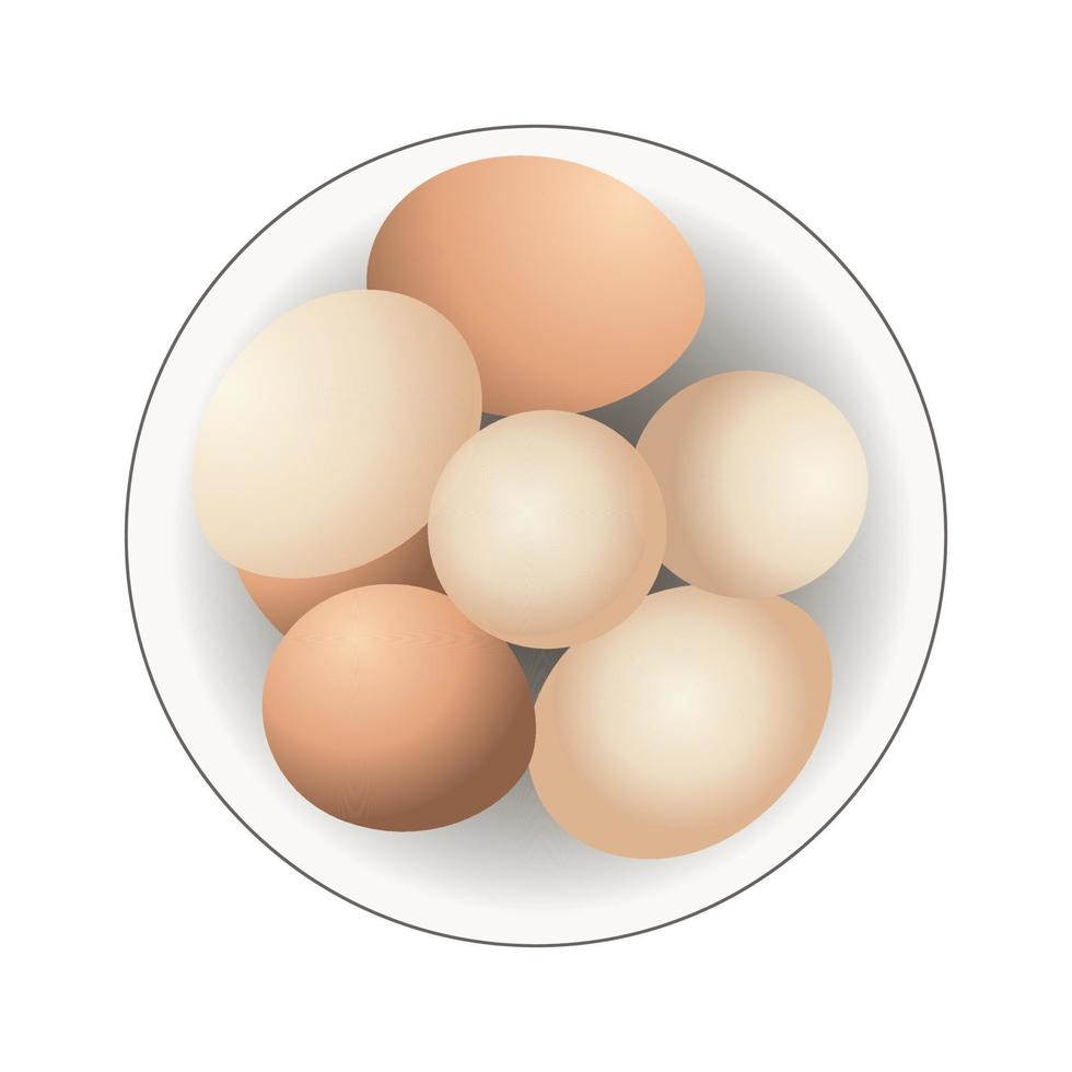 Brown chicken eggs in a bowl. Ingredients for bakery. Raw eggs isolated on white background. Eco farm food. Vector illustration