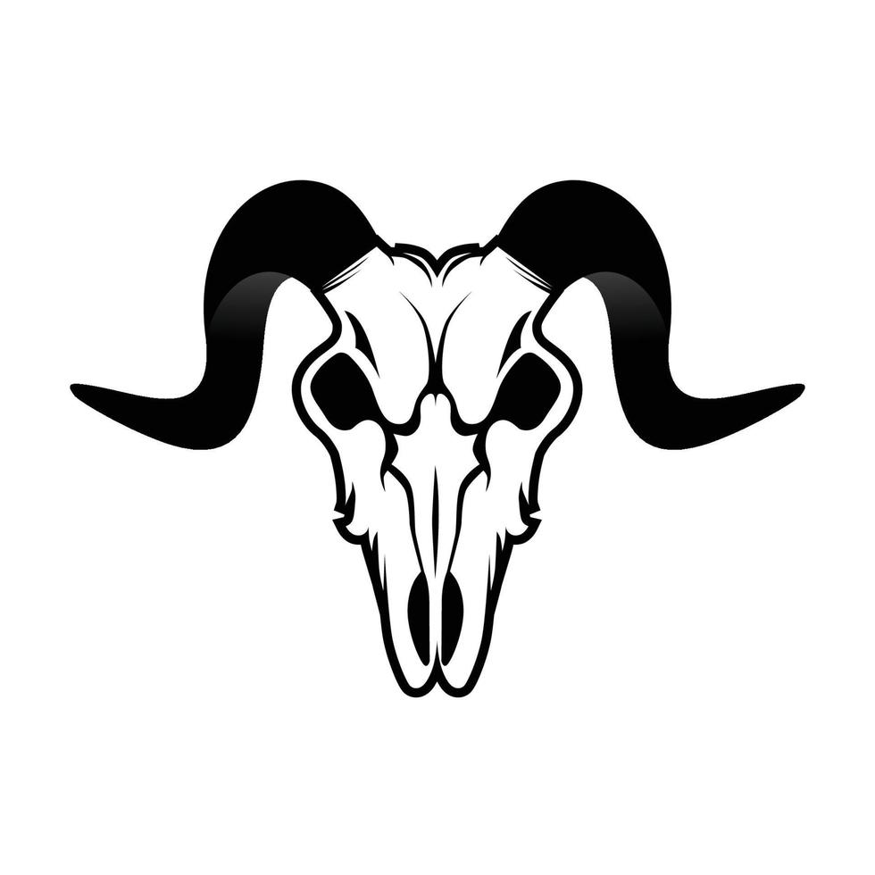 Mountain goat skull with black horns on white background vector