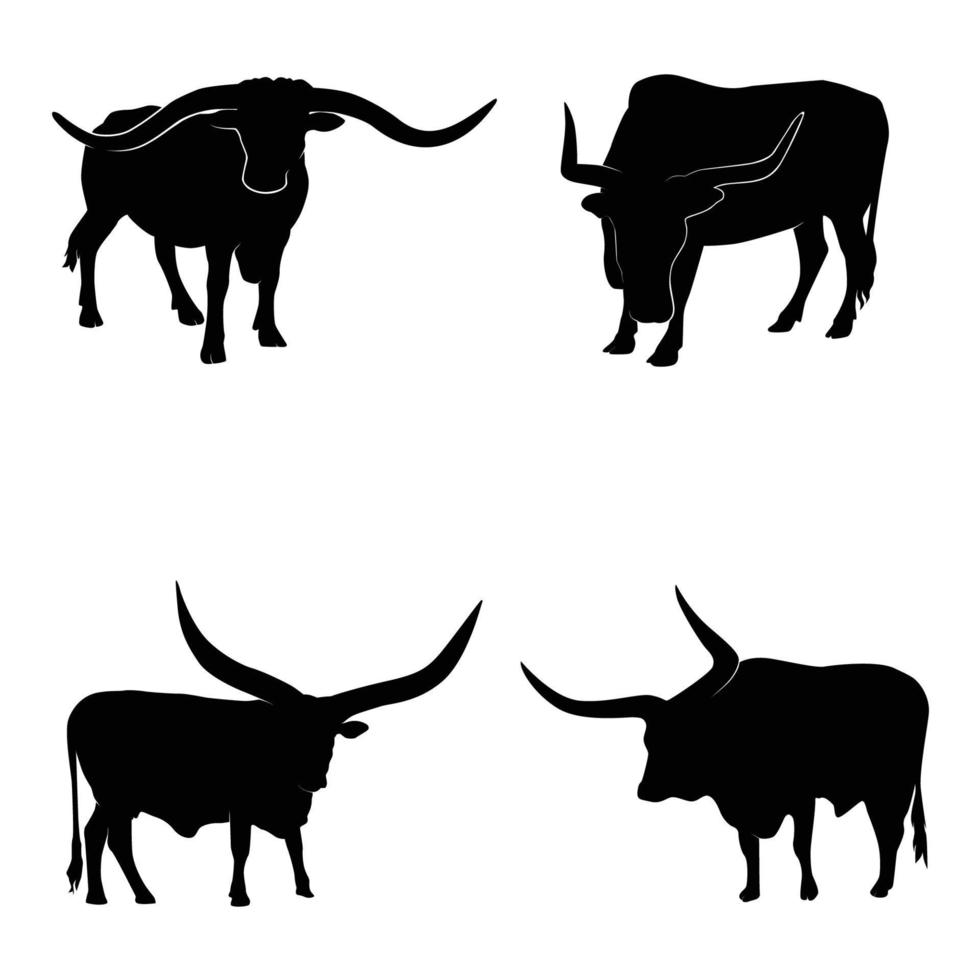 silhouettes of texas longhorn vector on white background