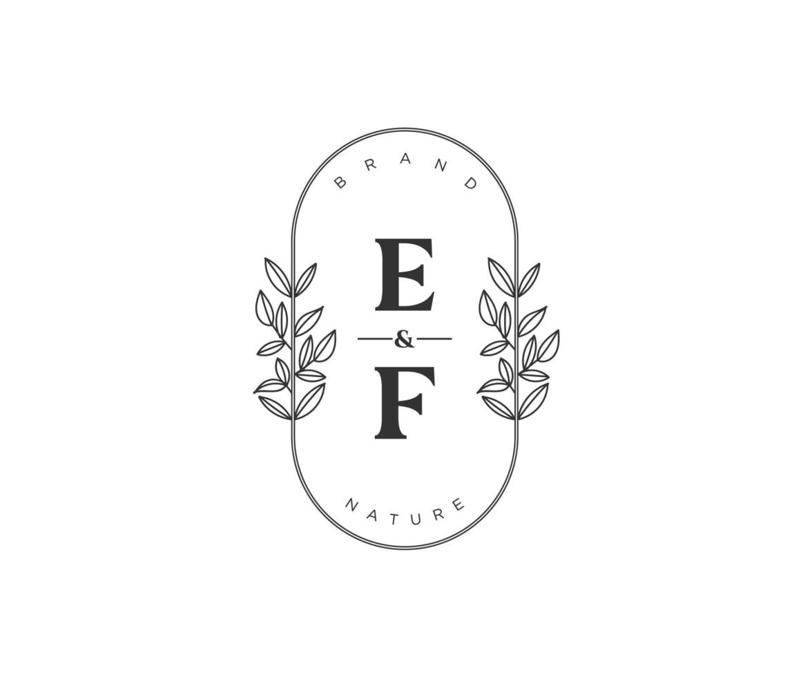 initial EF letters Beautiful floral feminine editable premade monoline logo suitable for spa salon skin hair beauty boutique and cosmetic company. vector