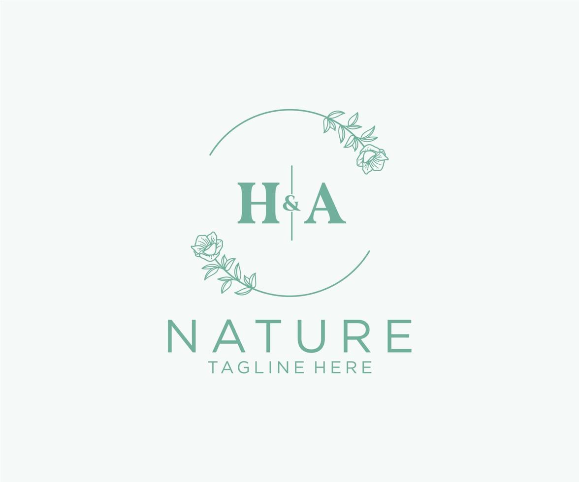 initial HA letters Botanical feminine logo template floral, editable premade monoline logo suitable, Luxury feminine wedding branding, corporate. vector