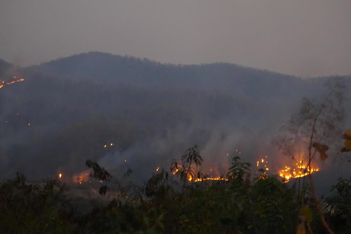 Forest fires spread quickly over a large area and are difficult to control. cause damage dangerous to wildlife villagers' houses and air pollution. Soft and selective focus. photo