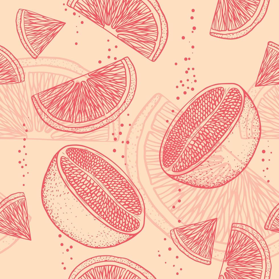 Seamless retro pattern with linear citrus, oranges. Slices and halves of grapefruits vector