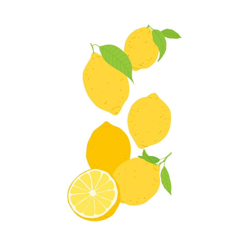 Seamless pattern with lemon fruits and leaves. Fruit repeating background. Vector illustration for fabric or wallpaper